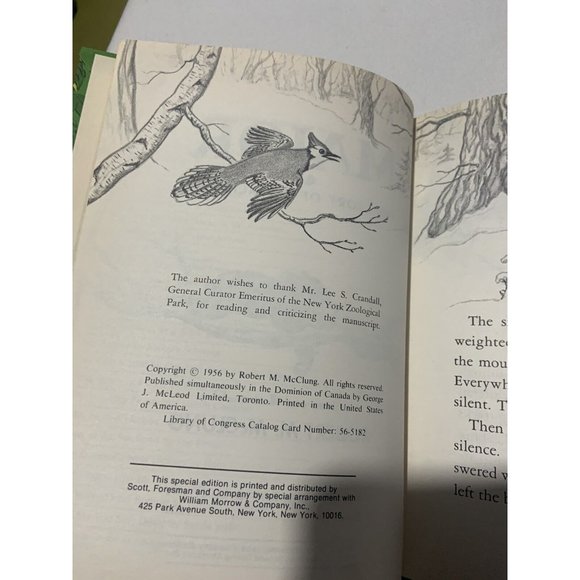 Major: The story of a Black Bear, by Robert M McClung, HC  VG Rare HTF - Picture 7 of 11